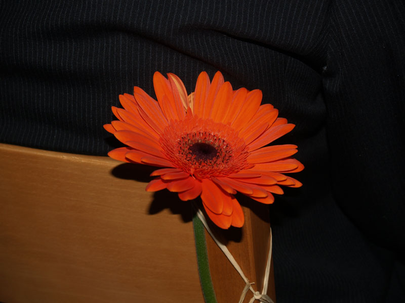P9242341